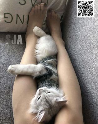李丽珍三级52次_高清手机在线观看